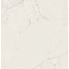 Керамогранит Victorian Marble White 7FLPR 60x60