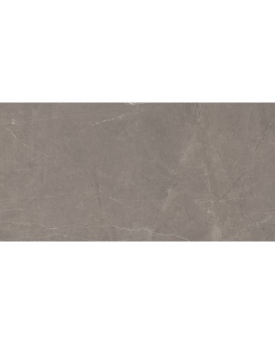 Керамогранит Splash Grey серый Сатинированный Карвинг 60x120