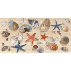 Декор Аликанте Морские звезды и ракушки 25x50