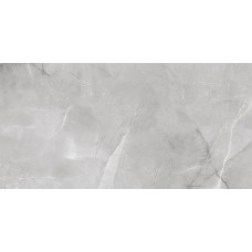 Керамогранит Armani Silver gloss 60x120