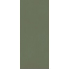 Керамогранит Grande Resin Look Verde Scuro Cold Satin 120x278