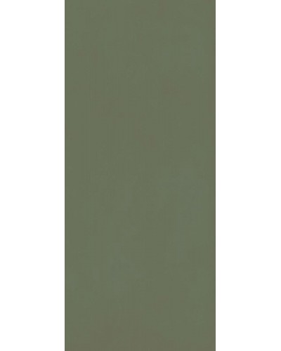 Керамогранит Grande Resin Look Verde Scuro Cold Satin 120x278
