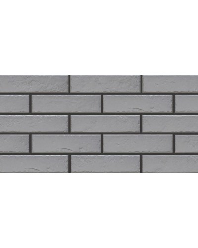 Фасадная плитка Foggia gris 6,5x24,5