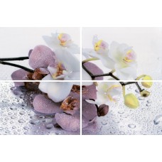 Панно Alba Orchid (из 4-х плиток) 40x60