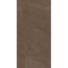 Плитка Pulpis Brown W M NR Glossy 1 31x61