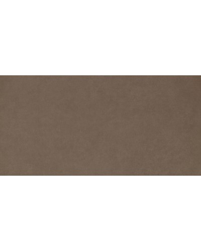 Керамогранит Intero brown Rect mat 29,8x59,8