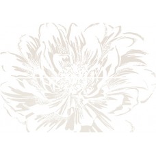 Панно Strato Anemone Crema (из 2-х плиток) 50,2x70,9