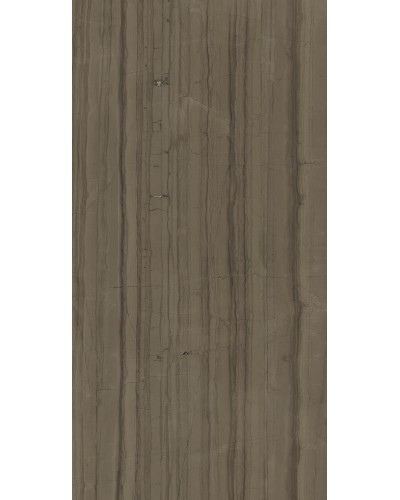 Керамогранит Charme Advance Floor Project Elegant Brown lux rett 80x160